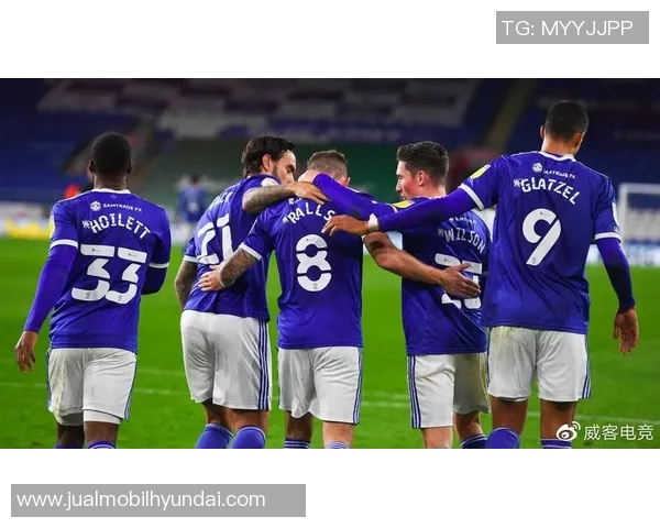 卡迪夫城迎战西布朗维奇全力争胜激战即将上演 卡迪夫城迎战西布朗维奇全力争胜激战即将上演