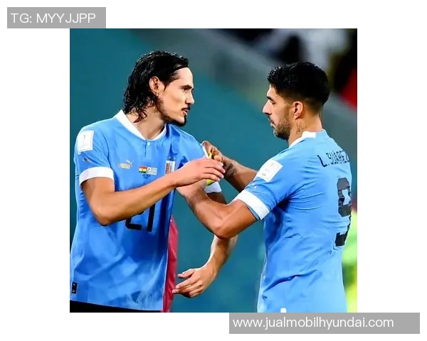 南非与乌拉圭全场对决精彩回顾与赛后分析