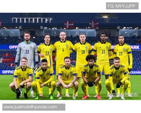 瑞典与丹麦附加赛激战在即谁将晋级欧洲杯决赛圈