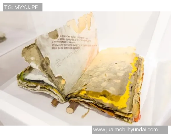 加莱诺的艺术魅力与文化传承探讨：从历史到现代的深度解读