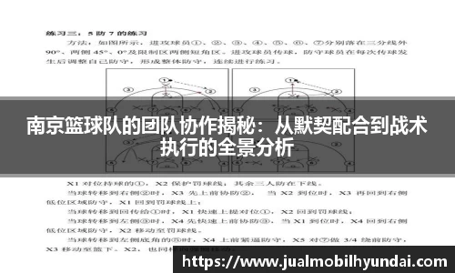 多宝电竞